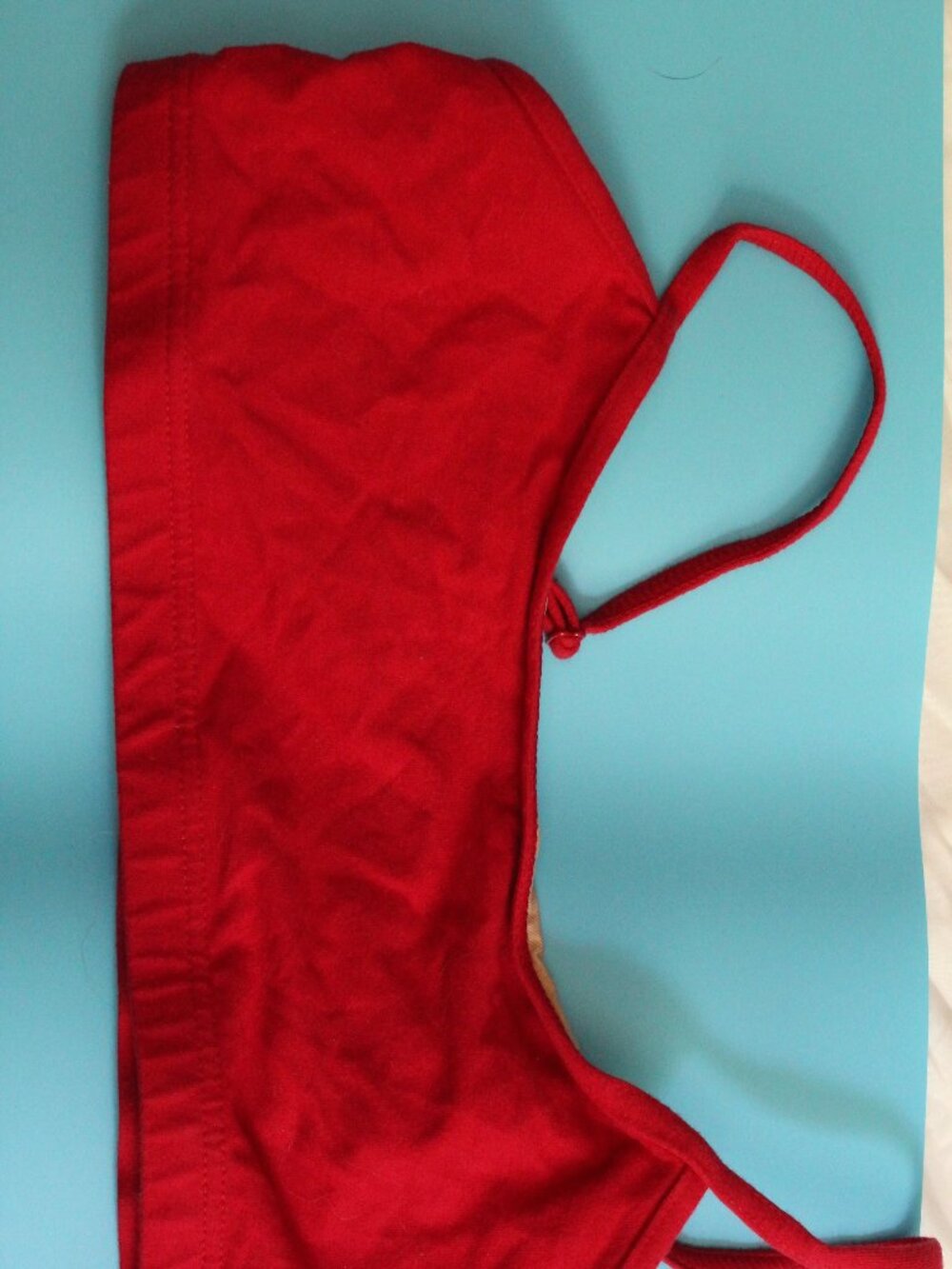 Theatricals Garnet Top